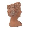 Brown Head Bust Cement Outdoor Garden Planter