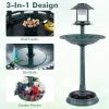 Pedestal Bird Bath with Solar Light with Bird Feeder and Flower Planter