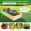 Fir Wood Wooden Square Wood Planter Box for Garden