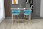 COOLMORE Vintage Bar Stools with Back and Footrest Counter Height Bar Chairs 2PC/SET