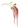 Amaranthus Stem (Set of 4) 53.25"H Plastic-Polyester