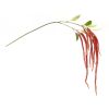 Amaranthus Stem (Set of 4) 53.25"H Plastic-Polyester