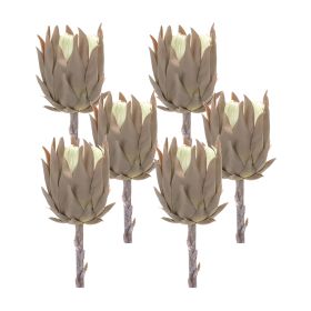 Protea Stem (Set of 6) 20"H Plastic (Color: Brown)