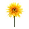 Gerbera Daisy Stem (Set of 6) 22"H Polyester