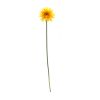 Gerbera Daisy Stem (Set of 6) 22"H Polyester