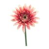 Gerbera Daisy Stem (Set of 6) 22"H Polyester