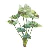 Caladium Bush (Set of 6) 18.5"H Polyester