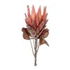 Protea Stem (Set of 2) 29"H Polyester