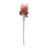 Protea Stem (Set of 2) 29"H Polyester