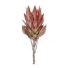 Protea Stem (Set of 2) 29"H Polyester