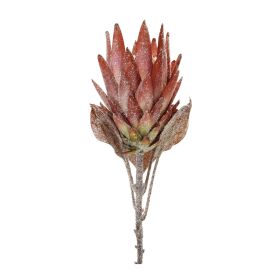 Protea Stem (Set of 2) 29"H Polyester (Color: Orange, Green)