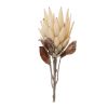 Protea Stem (Set of 2) 29"H Polyester