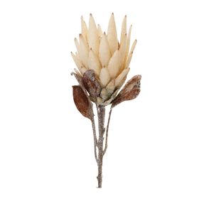 Protea Stem (Set of 2) 29"H Polyester (Color: Beige, Brown)