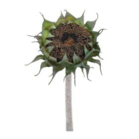 Sunflower Stem (Set of 6) 23.5"H Polyester/Plastic (Color: Black, Green)