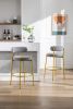 COOLMORE Bar Stools Industrial Pub Barstools with Back and Footrest, Modern Armless Bar Height Stool Chairs Set of 2