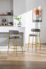 COOLMORE Bar Stools Industrial Pub Barstools with Back and Footrest, Modern Armless Bar Height Stool Chairs Set of 2