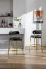 COOLMORE Bar Stools Industrial Pub Barstools with Back and Footrest, Modern Armless Bar Height Stool Chairs Set of 2