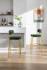 COOLMORE Bar Stools Industrial Pub Barstools with Back and Footrest, Modern Armless Bar Height Stool Chairs Set of 2