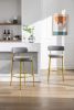 COOLMORE Bar Stools Industrial Pub Barstools with Back and Footrest, Modern Armless Bar Height Stool Chairs Set of 2